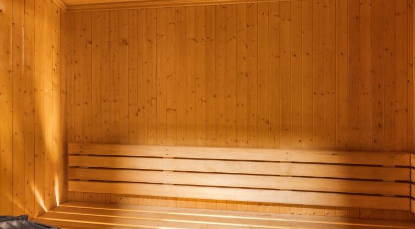 Photo of Fjälldrömmen