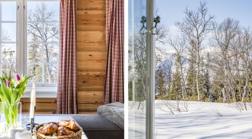 Photo of Fjälldrömmen