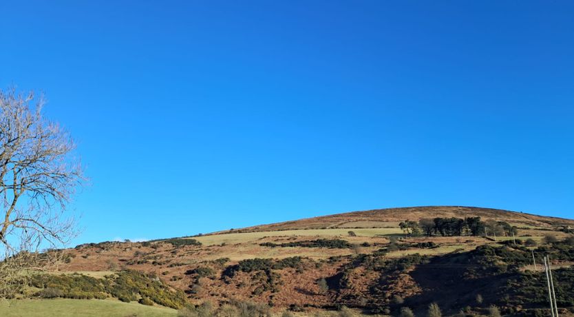 Photo of St. Kevin's Cottage Hollywood 