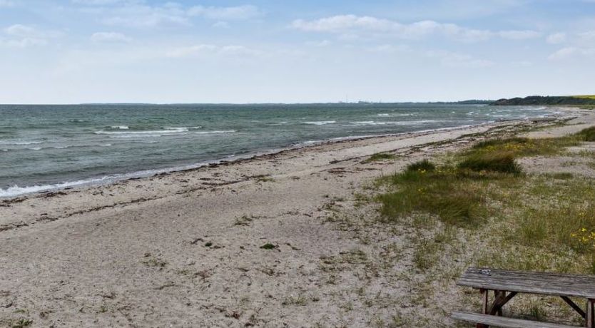 Photo of "Saija" - 100m from the sea