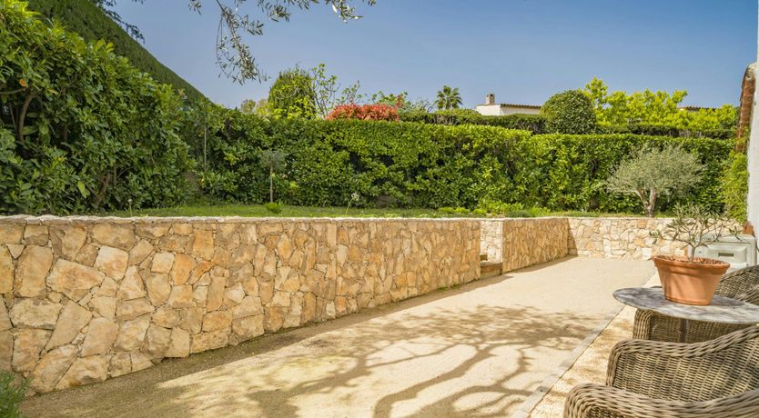 Photo of The Lemon Trees