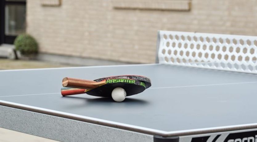 Photo of "Thyra" - 50m to the fjord