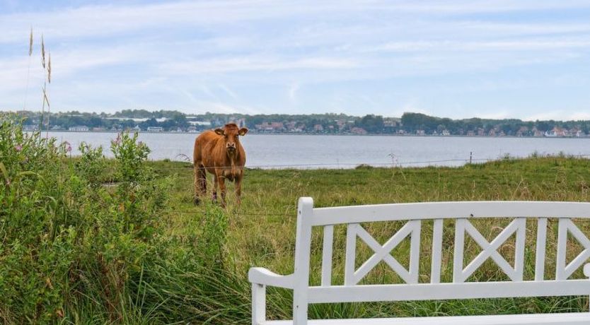 Photo of "Thyra" - 50m to the fjord