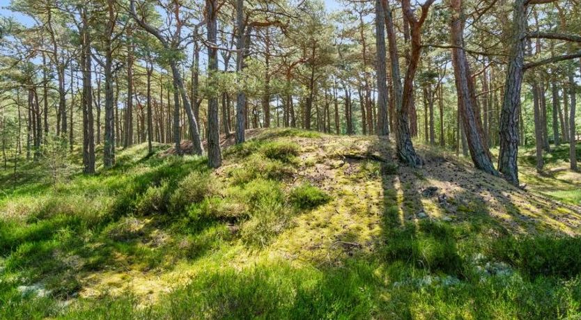 Photo of "Bothilda" - 950m from the sea