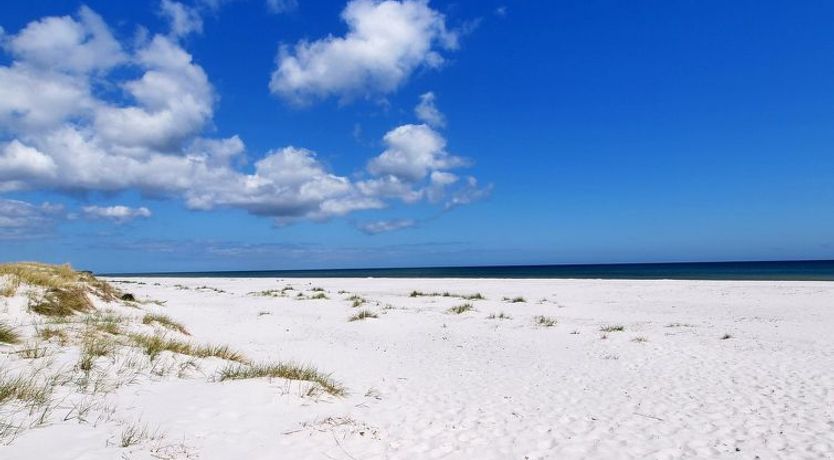 Photo of "Bothilda" - 950m from the sea