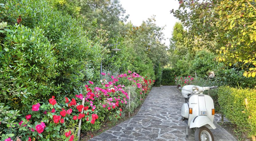 Photo of The Pisan Hills