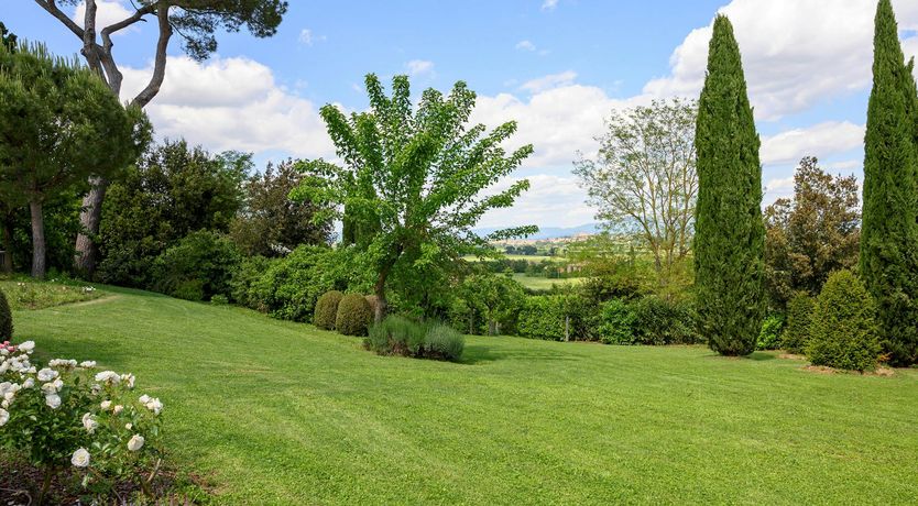 Photo of Embers & Sunlight