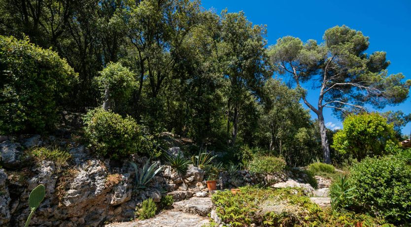 Photo of Lac de Saint-Cassien View