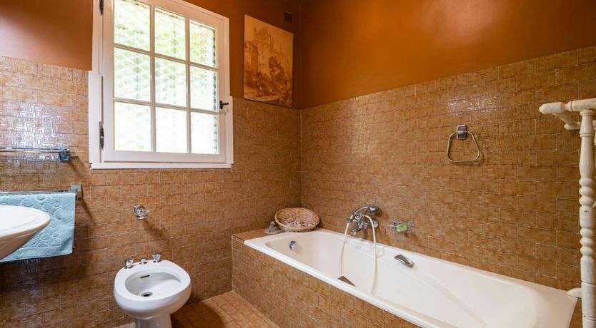 Photo of Lac de Saint-Cassien View