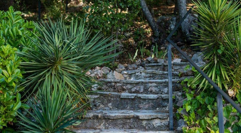 Photo of Lac de Saint-Cassien View