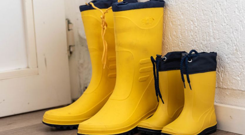 Photo of Schwalbennest V Apartment 5