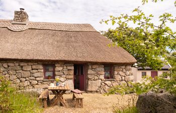 Historical Thatch Cottage  Holiday Home