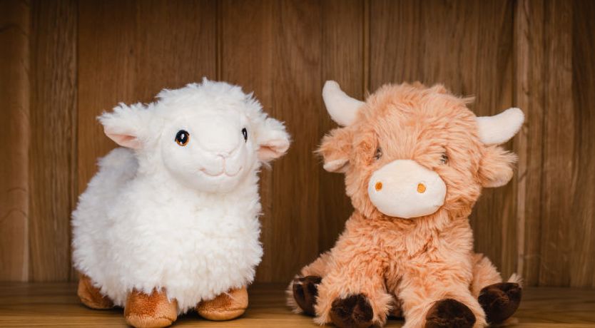 Photo of Great Glen View