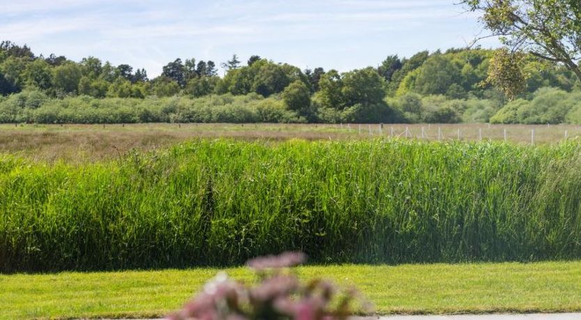 Photo of "Blondine" - 1.4km from the sea