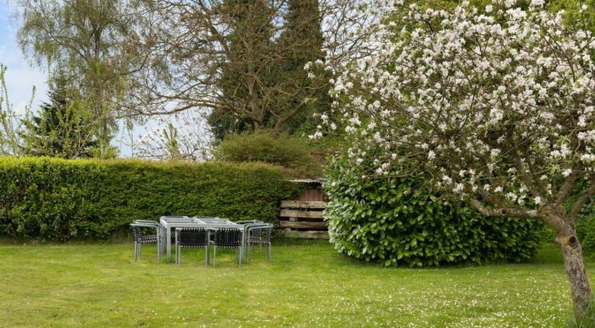 Photo of "Andine" - 250m from the sea