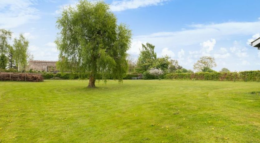 Photo of "Andine" - 250m from the sea