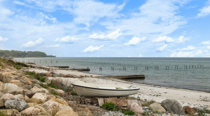 Photo of "Andine" - 250m from the sea