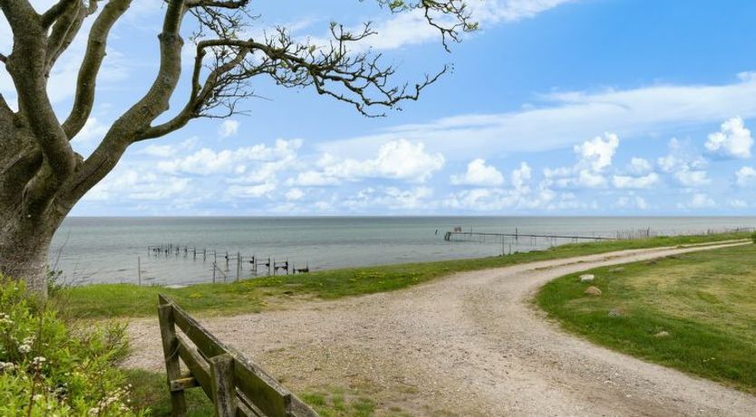 Photo of "Andine" - 250m from the sea