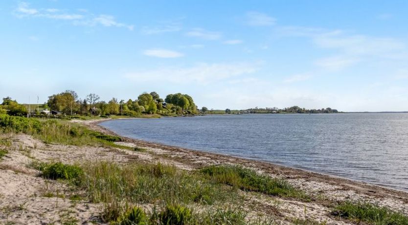 Photo of "Ørn" - 5m from the sea