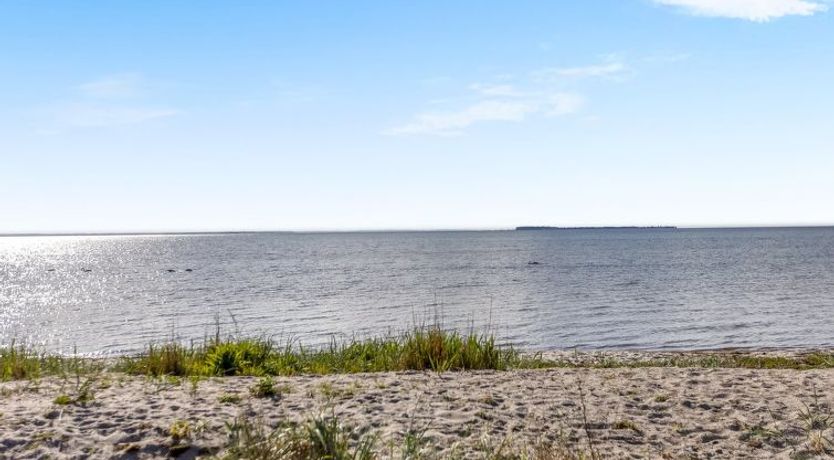 Photo of "Ørn" - 5m from the sea