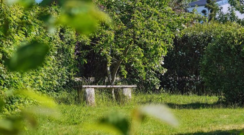 Photo of "Bartha" - 3km from the sea