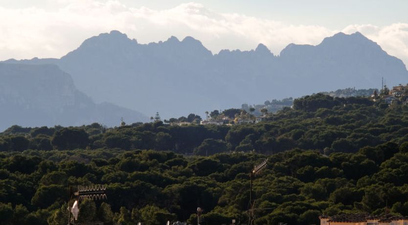 Photo of El Pelotazo