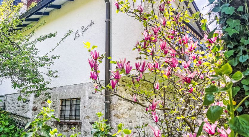 Photo of La Gioconda