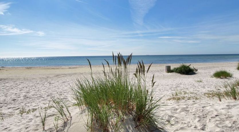 Photo of "Emppu" - 300m from the sea