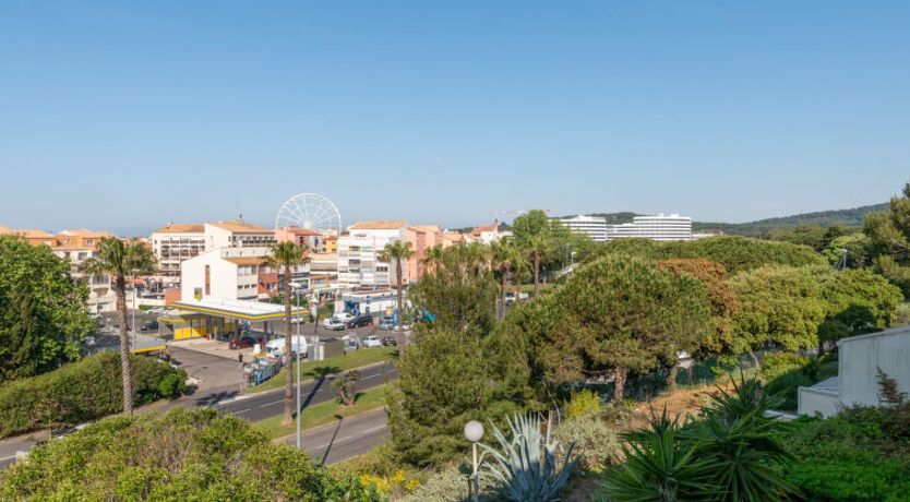 Photo of Les Asphodeles