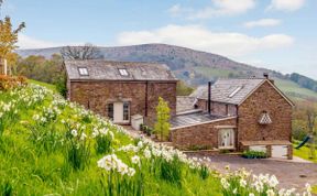 Photo of in Abergavenny  (42924)