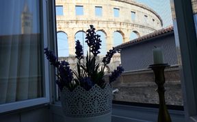 Photo of Amphitheater Art Apartment 