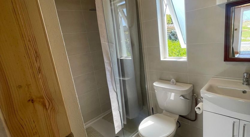 Photo of Calla Roundstone