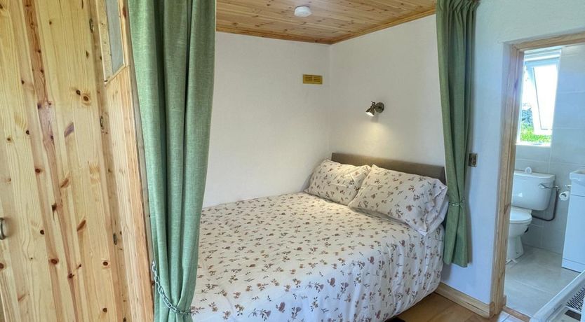 Photo of Calla Roundstone