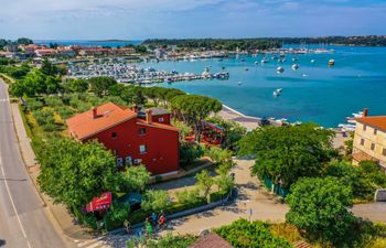Apartments Oliveto with Sea View - Terra  Holiday Home