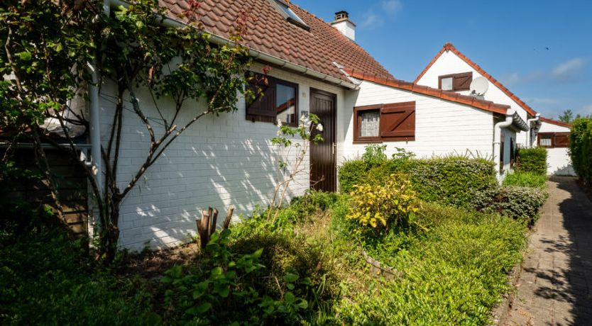 Photo of Duinenhuis 123 Holiday Home 13