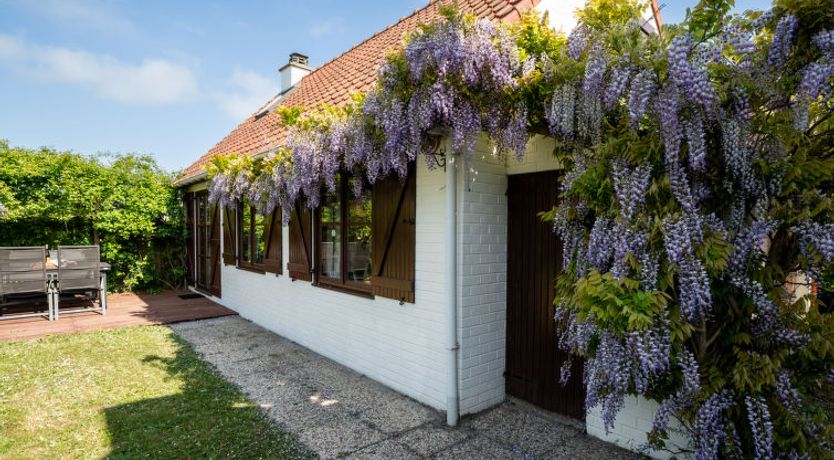 Photo of Duinenhuis 123 Holiday Home 13