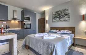Photo of maslina-1