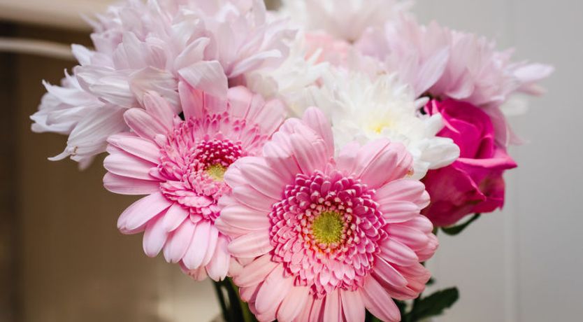 Photo of Mountain View Lodge