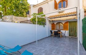 Photo of carpa