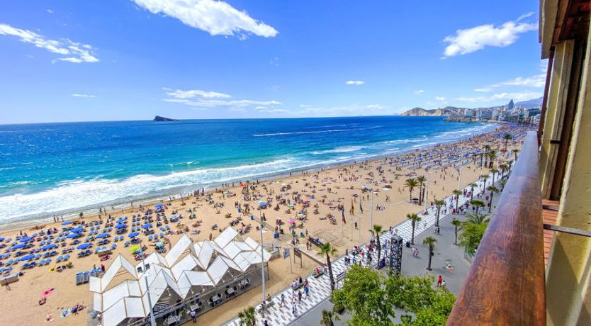 Photo of Estacha del mar