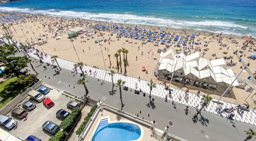 Photo of Estacha del mar