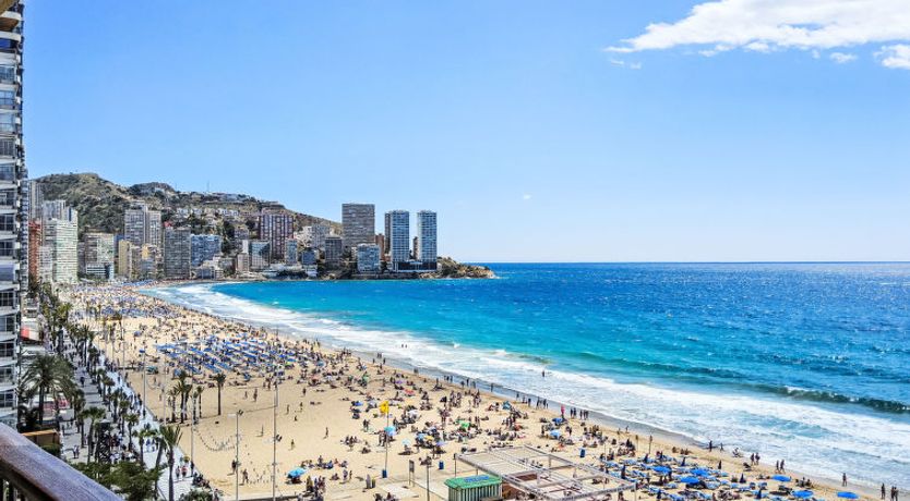 Photo of Estacha del mar