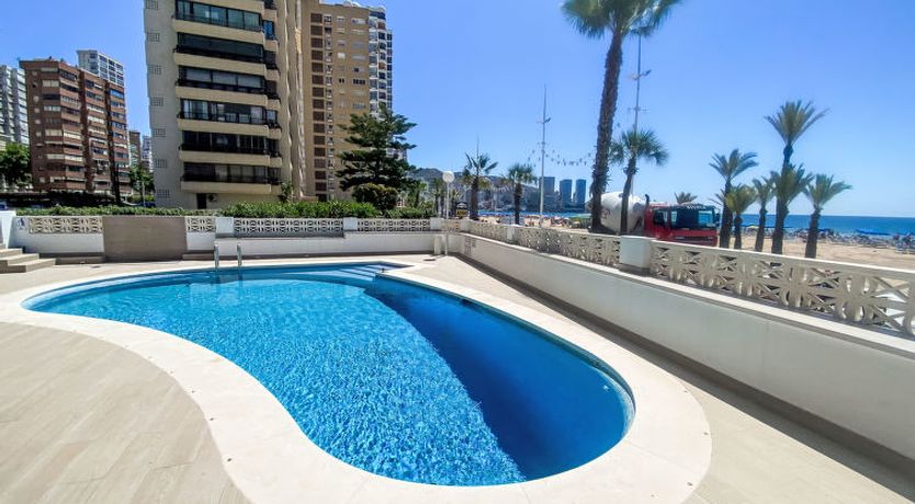 Photo of Estacha del mar