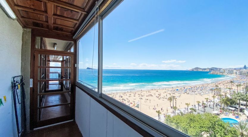 Photo of Estacha del mar