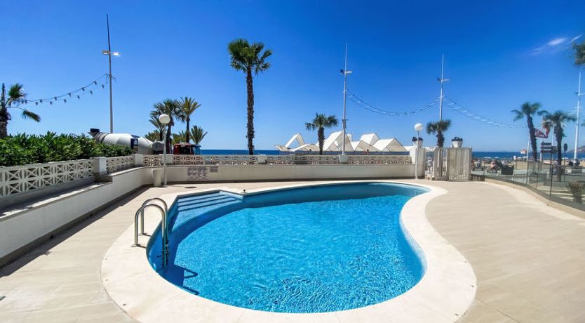 Photo of Estacha del mar