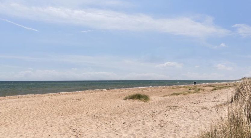 Photo of "Naina" - 200m from the sea