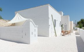 Photo of Olive Grove Serenity