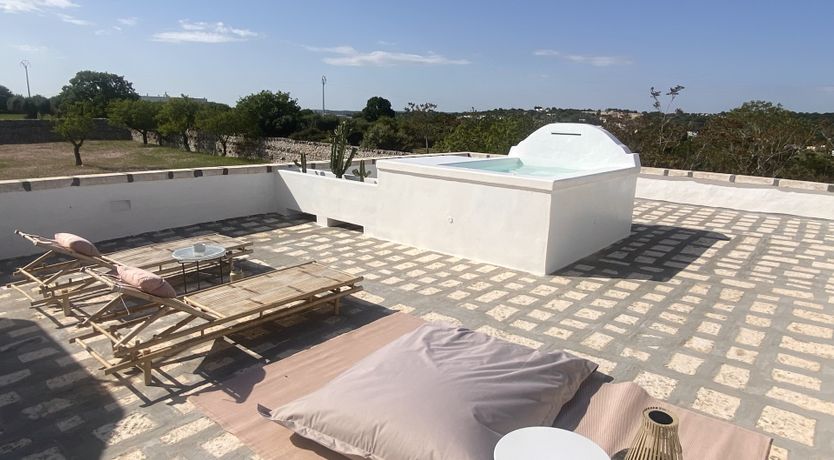 Photo of Olive Grove Serenity