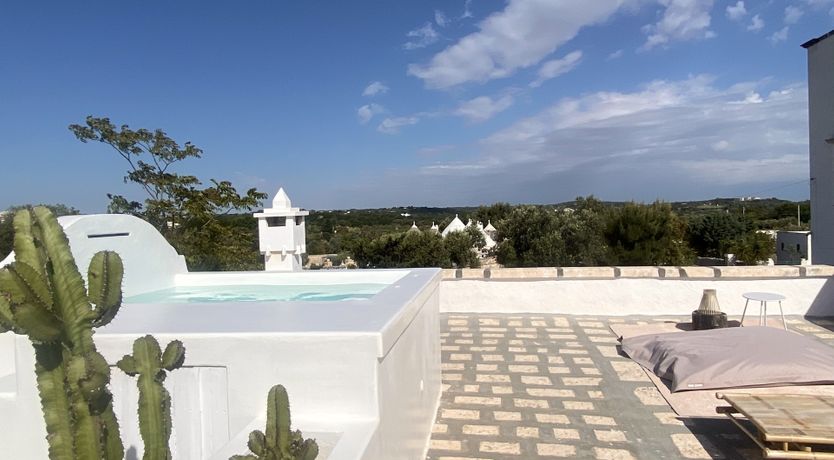 Photo of Olive Grove Serenity