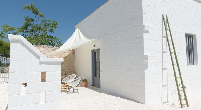 Photo of Olive Grove Serenity